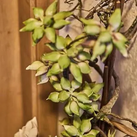 Appartement Kuchler Bodenmais